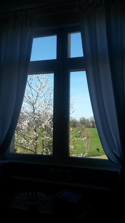 Cercy-la-Tour Chambres D'Hotes Du Haras De Coddes חדר תמונה